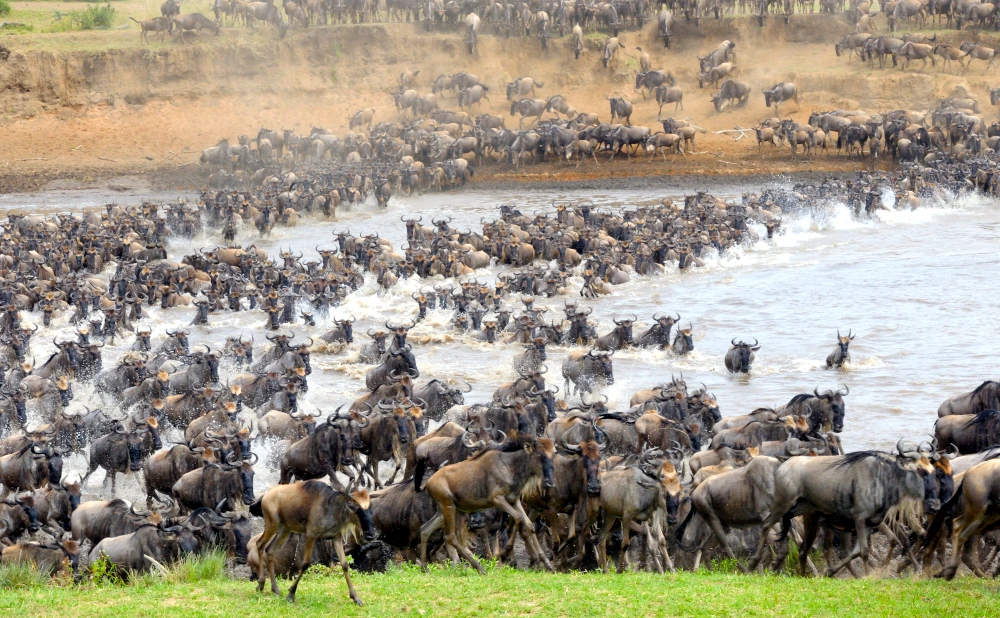 7 Incredible Facts About Serengeti National Park.