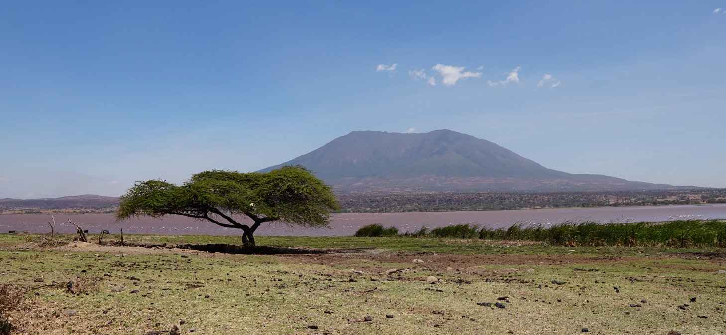 Mount Hanang Nature Forest Reserves